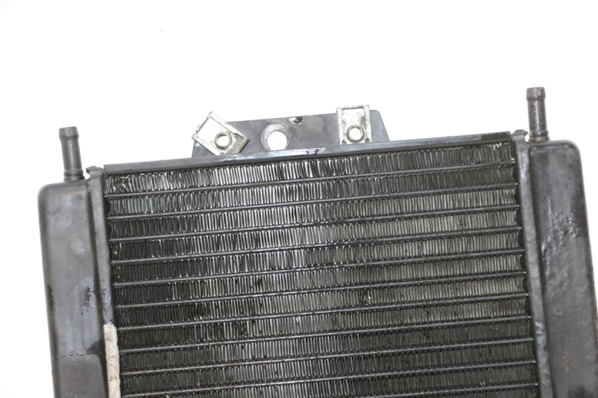 photo de RADIATEUR PIAGGIO MP3 RL 250 (2006 - 2010) - Vue produit
