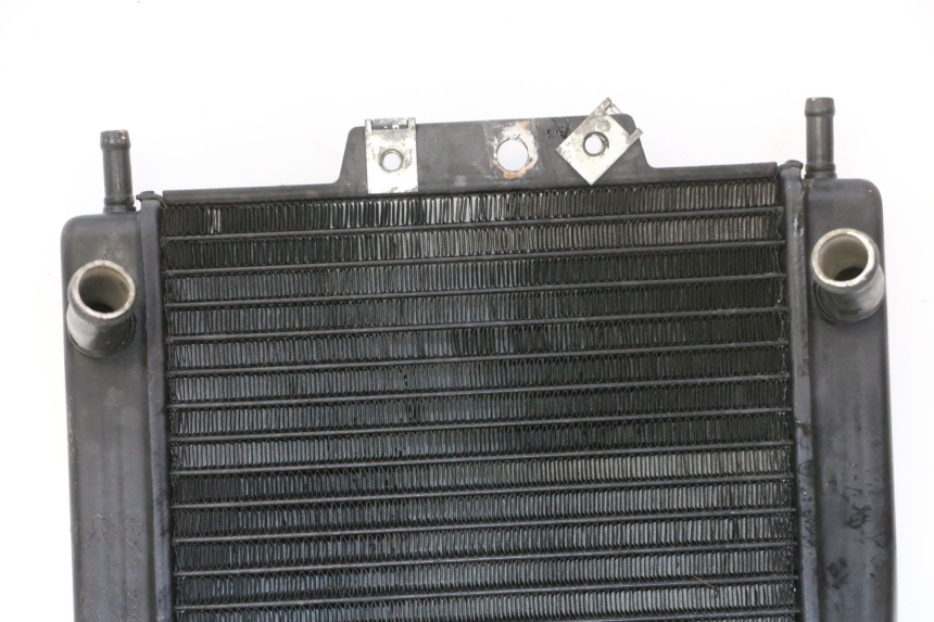 photo de RADIATEUR PIAGGIO MP3 RL 250 (2006 - 2010) - État de surface