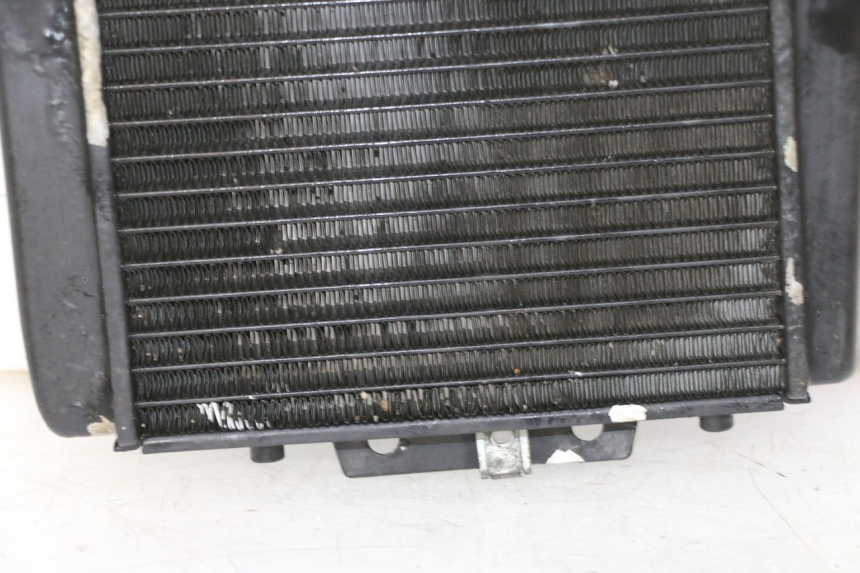 photo de RADIATEUR PIAGGIO MP3 RL 250 (2006 - 2010) - Marquages et références