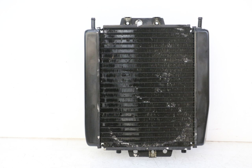 photo de RADIATEUR PIAGGIO MP3 RL 250 (2006 - 2010) - Vue principale