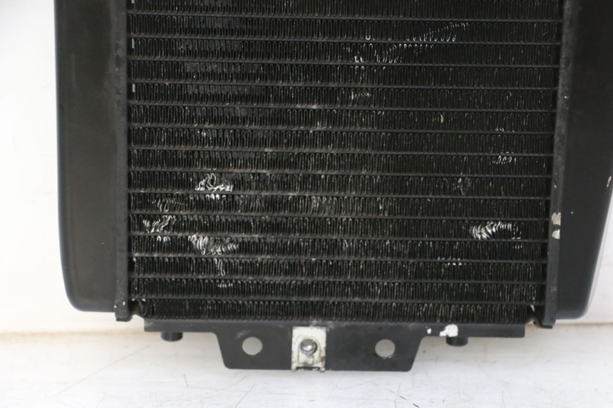 photo de RADIATEUR PIAGGIO MP3 RL 250 (2006 - 2010) - Zoom composants