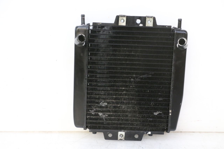 photo de RADIATEUR PIAGGIO MP3 RL 250 (2006 - 2010) - Photo complémentaire