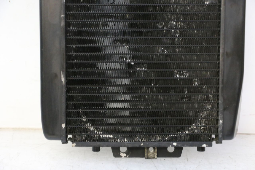 photo de RADIATEUR PIAGGIO MP3 RL 250 (2006 - 2010) - Inspection visuelle