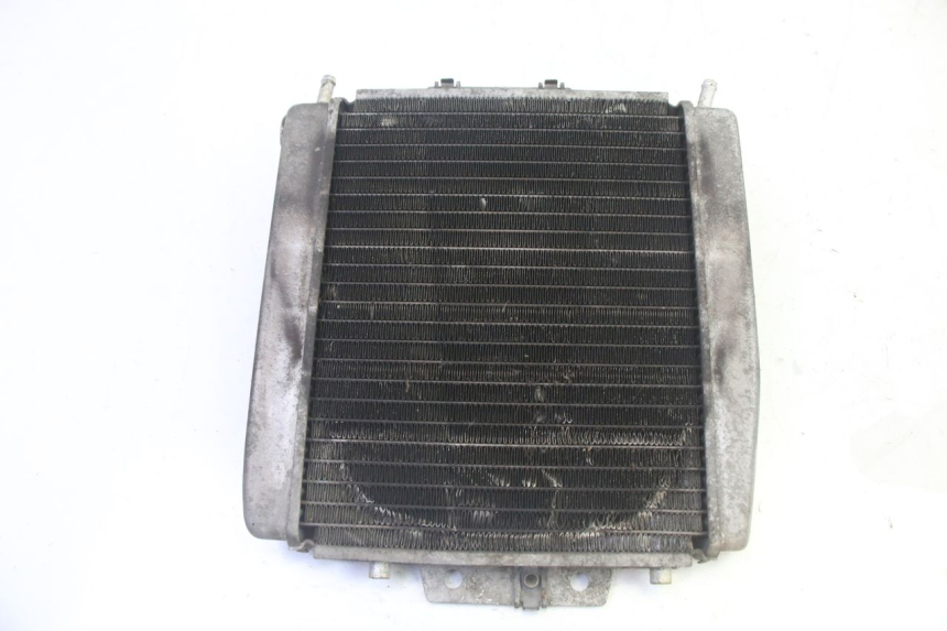 photo de RADIATEUR PIAGGIO MP3 125 (2006 - 2014) - Vue principale