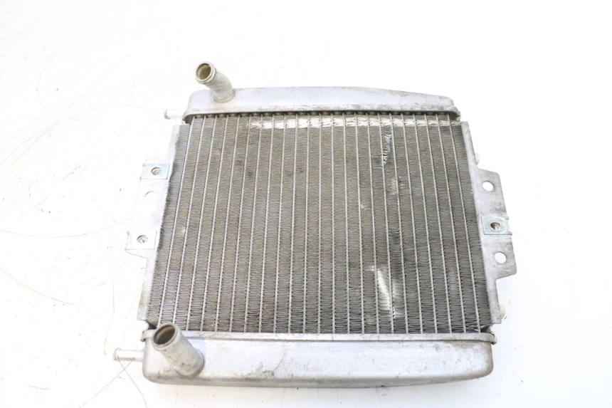 photo de RADIATEUR PIAGGIO MP3 125 (2006 - 2014) - Vue principale