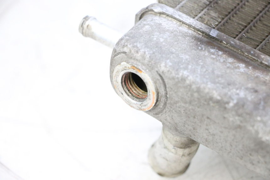 photo de RADIATEUR PIAGGIO MP3 125 (2006 - 2014) - Vue produit