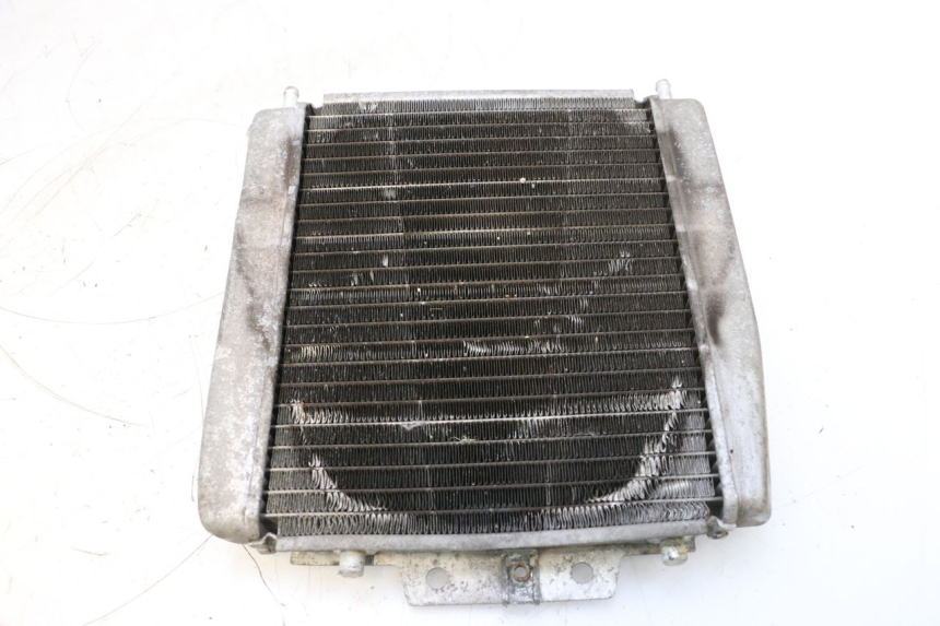 photo de RADIATEUR PIAGGIO MP3 125 (2006 - 2014) - Vue d’ensemble