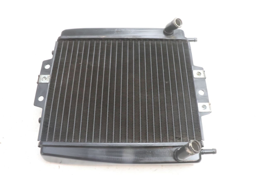 photo de RADIATEUR PIAGGIO MP3 500 (2016 - 2018) - Vue principale