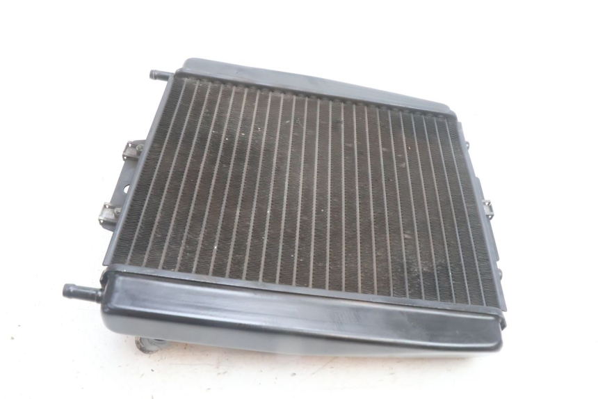 photo de RADIATEUR PIAGGIO MP3 500 (2016 - 2018) - État de surface