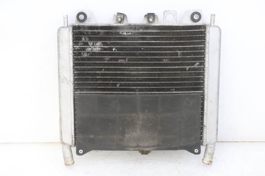 photo de RADIATEUR GILERA NEXUS 125 (2009 - 2013) - Vue principale