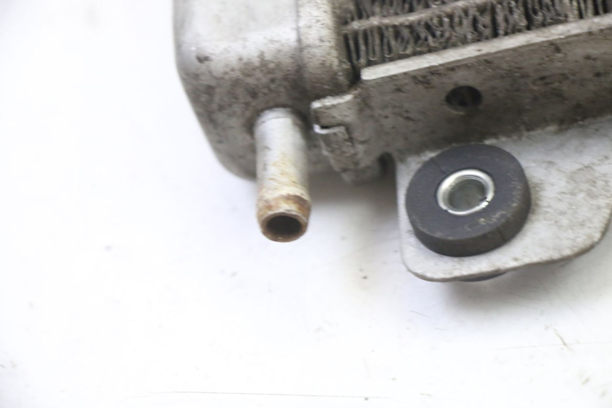 photo de RADIATEUR GILERA NEXUS 125 (2009 - 2013) - Vue rapprochée