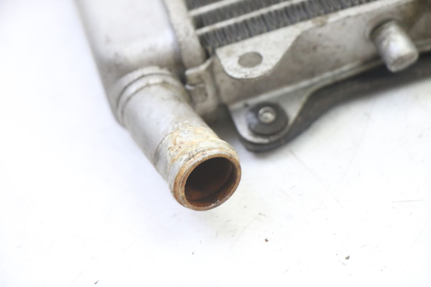 photo de RADIATEUR GILERA NEXUS 125 (2009 - 2013) - Vue d’ensemble