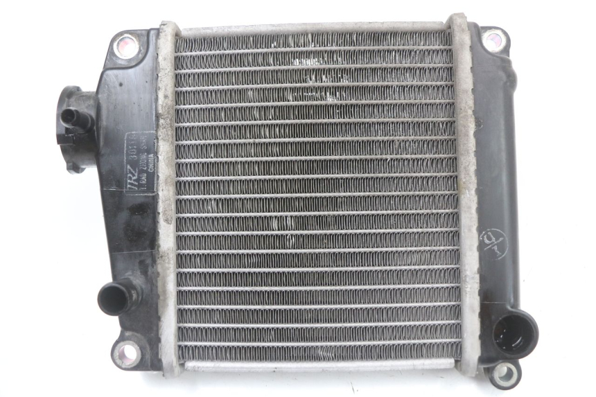 photo de RADIATEUR HONDA NHX LEAD 110 (2008 - 2010) - Vue principale