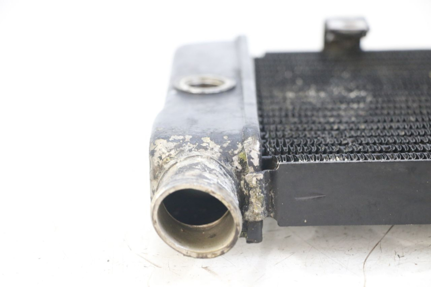 photo de RADIATEUR HONDA NTV DEAUVILLE 650 (1998 - 2001) - Zoom état d’usage