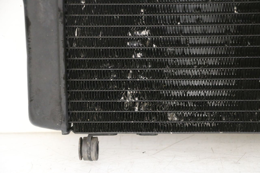 photo de RADIATEUR HONDA NTV DEAUVILLE 650 (2001 - 2006) - État de surface