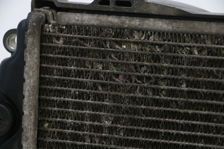 photo de RADIATEUR HONDA PCX (JF57/JF64) 125 (2014 - 2018) - Détails caractéristiques