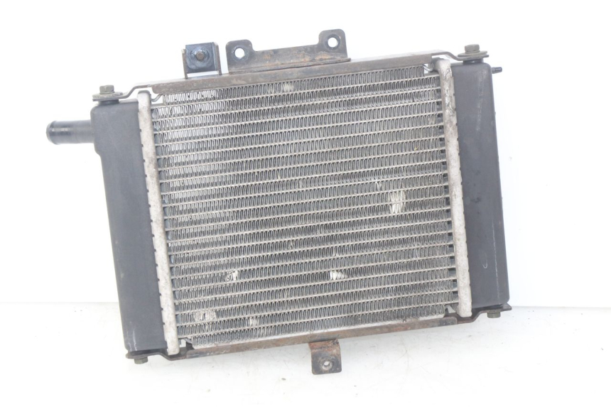photo de RADIATEUR KYMCO PEOPLE 250 (2004 - 2008) - Vue principale
