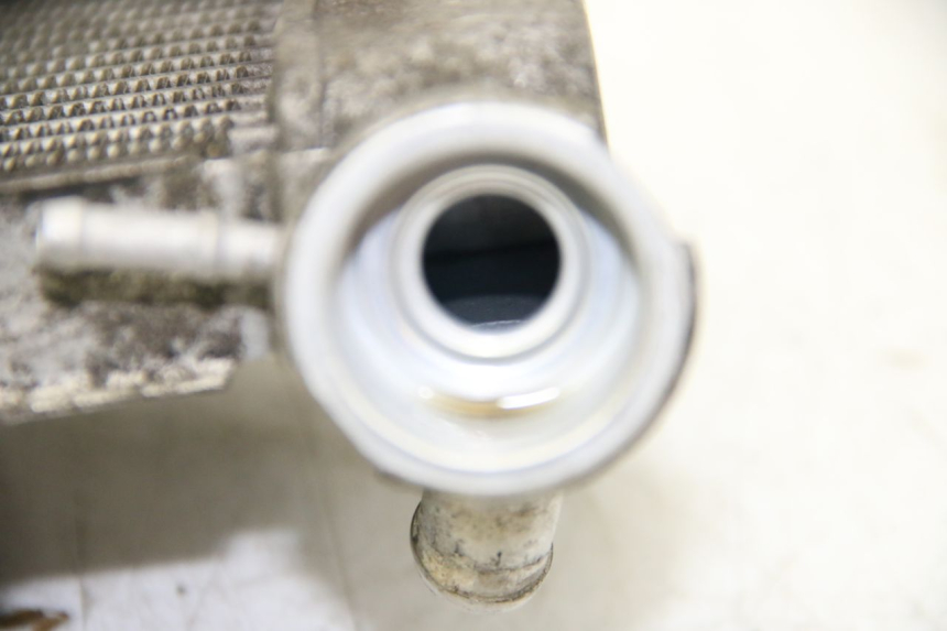 photo de RADIATEUR HONDA PES PS I 125 (2006 - 2012) - Zoom état d’usage