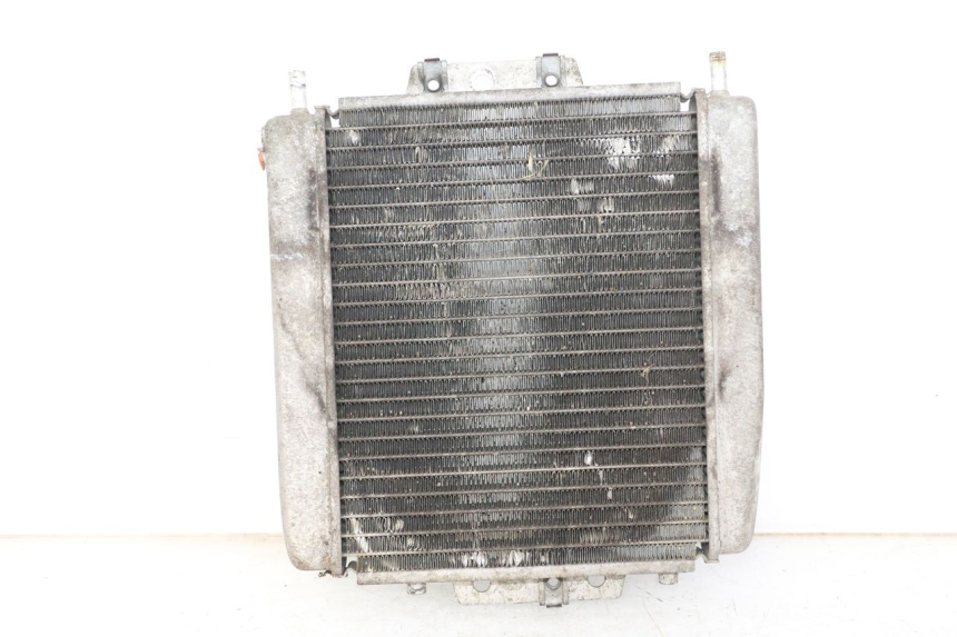 photo de RADIATEUR PIAGGIO MP3 125 (2006 - 2014) - Vue principale