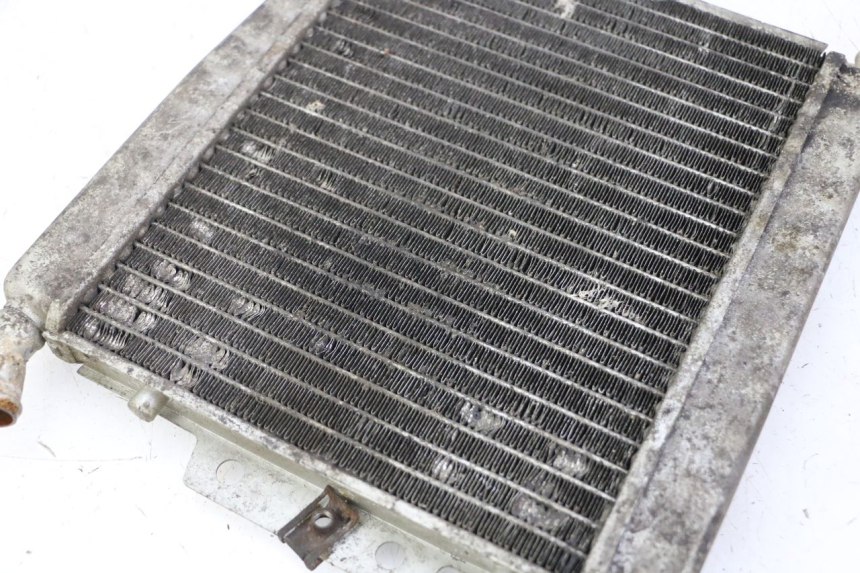 photo de RADIATEUR PIAGGIO X8 125 (2004 - 2007) - Détail de la pièce