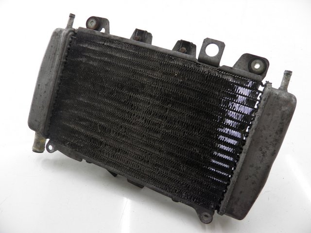 photo de RADIATEUR PIAGGIO X9 EVOLUTION 125 (2003 - 2007) - Vue principale