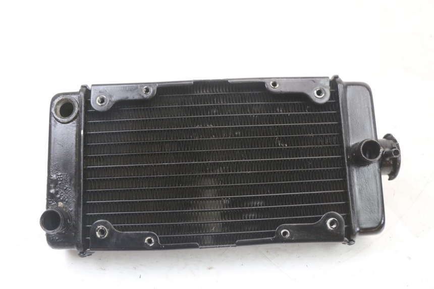 photo de RADIATEUR REGAL RAPTOR SPYDER 125 (2010 - 2018) - Vue principale