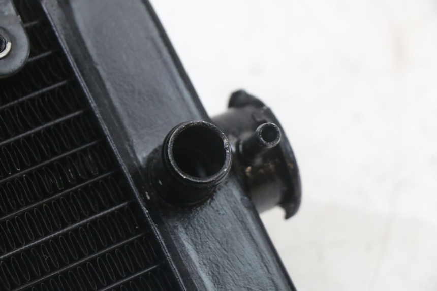 photo de RADIATEUR REGAL RAPTOR SPYDER 125 (2010 - 2018) - Autre angle de vue