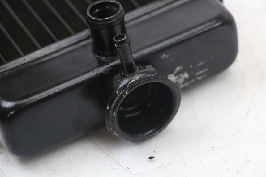 photo de RADIATEUR REGAL RAPTOR SPYDER 125 (2010 - 2018) - Vue d’ensemble