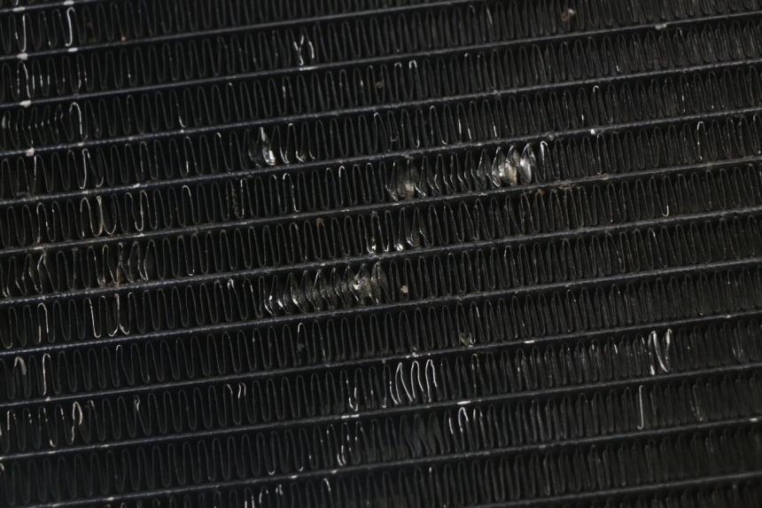 photo de RADIATEUR REGAL RAPTOR SPYDER 125 (2010 - 2018) - État de surface