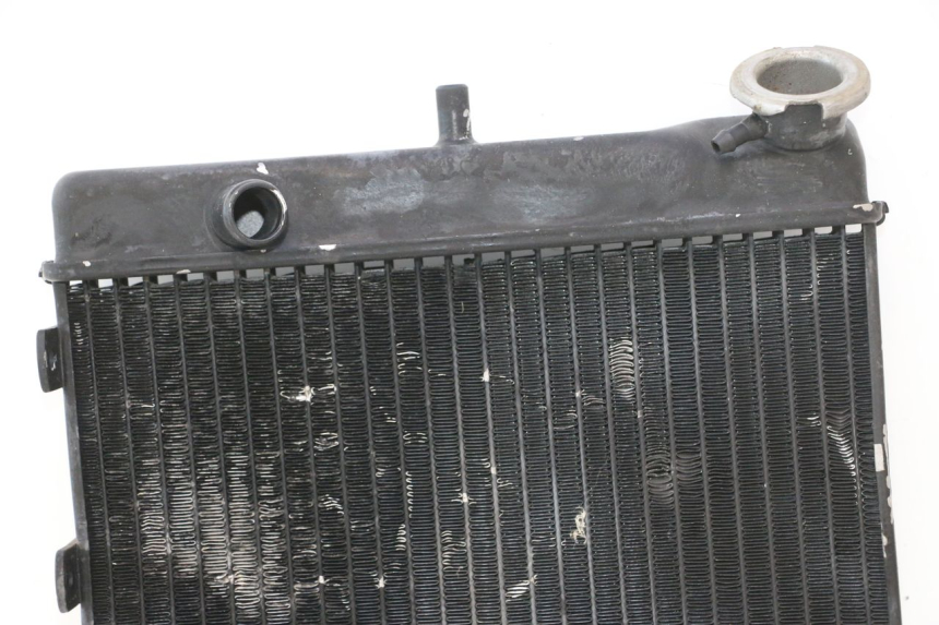 photo de RADIATEUR MZ RT 125 (2000 - 2008) - Zoom composants