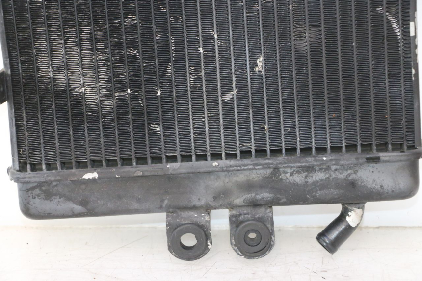 photo de RADIATEUR MZ RT 125 (2000 - 2008) - Vue rapprochée