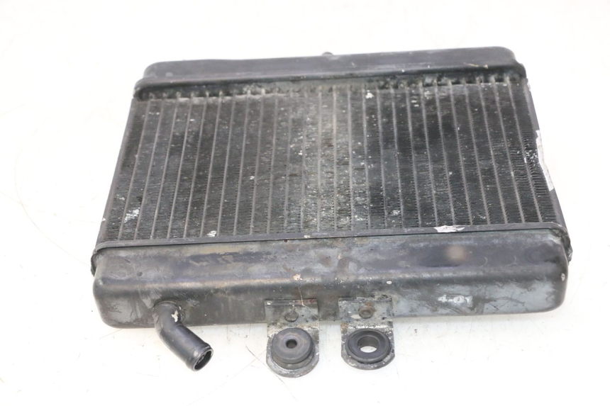 photo de RADIATEUR MZ RT 125 (2000 - 2008) - Gros plan technique