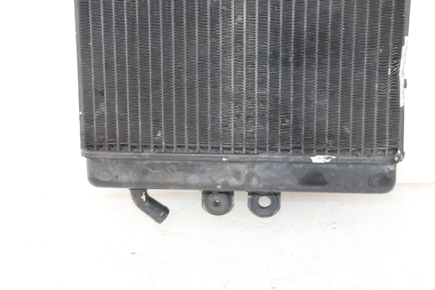 photo de RADIATEUR MZ RT 125 (2000 - 2008) - Pièce contrôlée