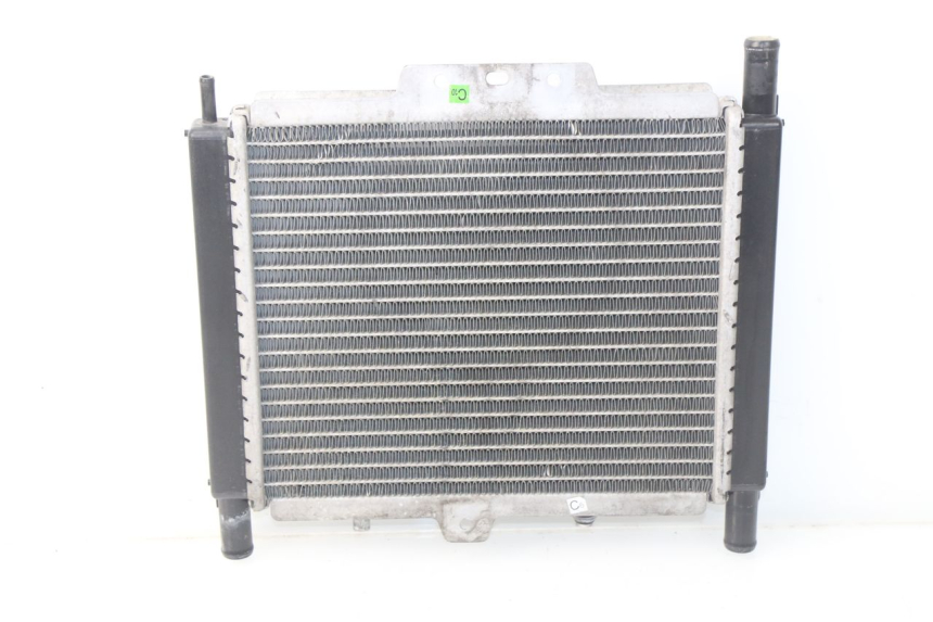 photo de RADIATEUR PEUGEOT SATELIS 300 (2012 - 2015) - Vue principale
