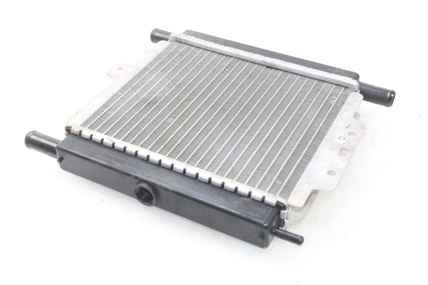 photo de RADIATEUR PEUGEOT SATELIS 125 (2013 - 2018) - Zoom état d’usage