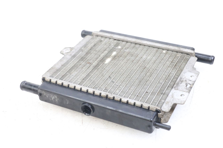 photo de RADIATEUR PEUGEOT SATELIS 125 (2006 - 2009) - Zoom état d’usage