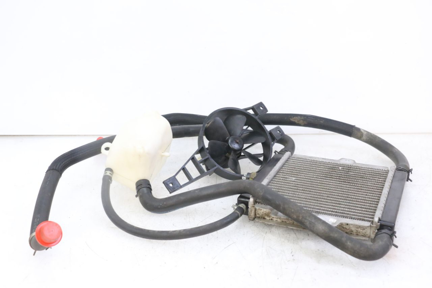 photo de RADIATEUR PEUGEOT SATELIS 125 (2010 - 2012) - Détail de la pièce