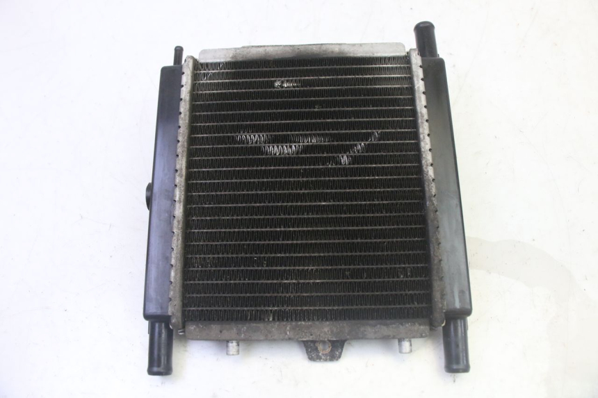 photo de RADIATEUR PEUGEOT SATELIS 125 (2013 - 2018) - Zoom état d’usage