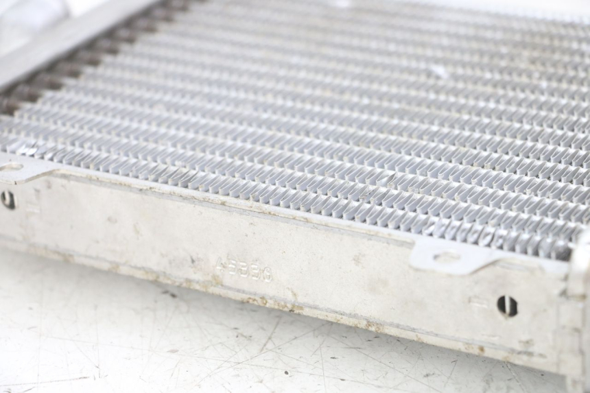 photo de RADIATEUR PEUGEOT SPEEDFIGHT 2 LC 50 (2000 - 2009) - Zoom état d’usage