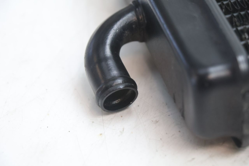 photo de RADIATEUR PEUGEOT SPEEDFIGHT LC 50 (1996 - 2002) - Gros plan technique