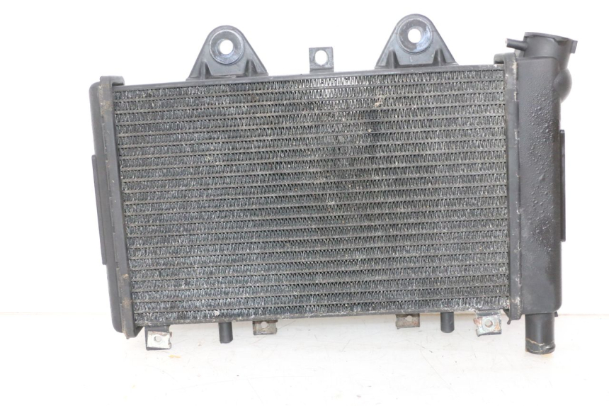 photo de RADIATEUR TRIUMPH SPRINT 900 (1995 - 1998) - Vue produit