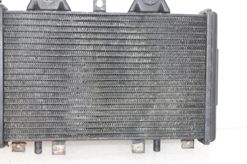 photo de RADIATEUR TRIUMPH SPRINT 900 (1995 - 1998) - Détails caractéristiques
