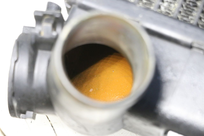 photo de RADIATEUR TRIUMPH SPRINT 900 (1995 - 1998) - Zoom état d’usage