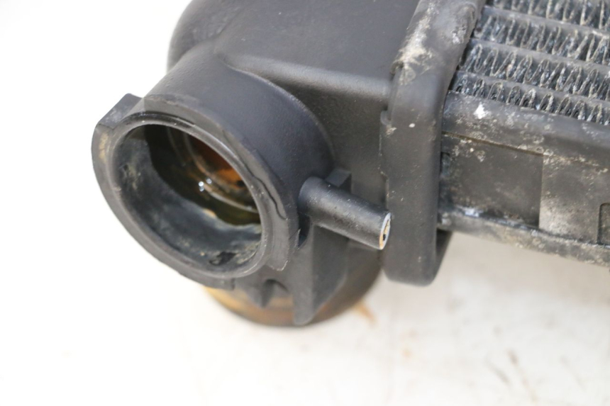 photo de RADIATEUR TRIUMPH SPRINT 900 (1995 - 1998) - Points de fixation