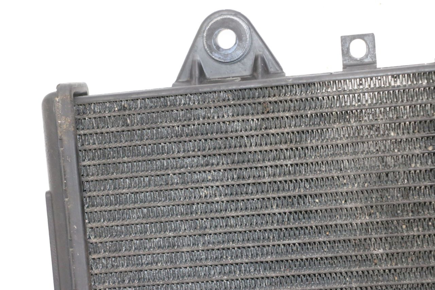 photo de RADIATEUR TRIUMPH SPRINT 900 (1995 - 1998) - Marquages et références