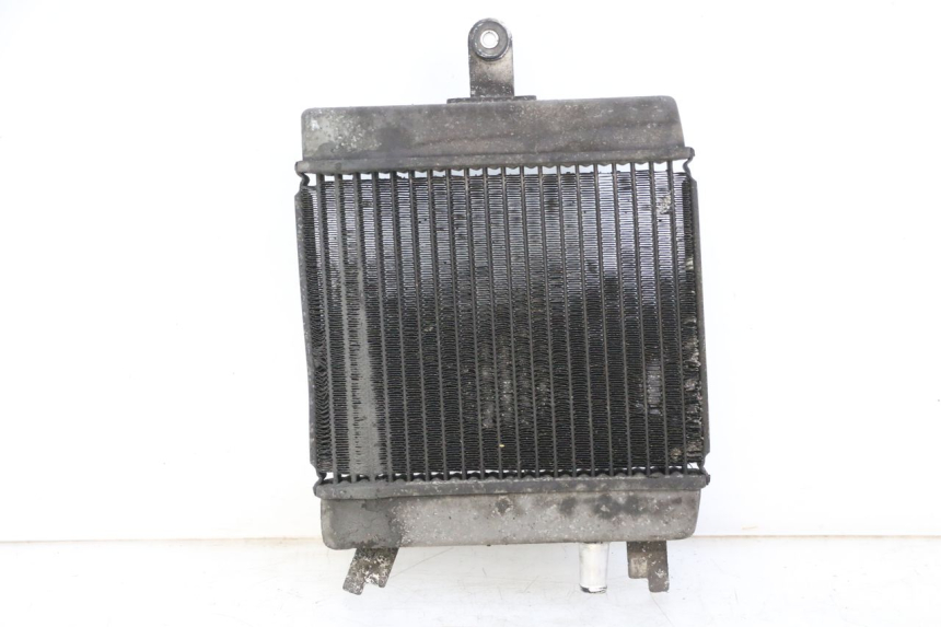 photo de RADIATEUR SUZUKI BURGMAN 125 (2015 - 2017) - Vue principale
