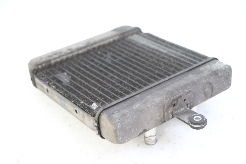 photo de RADIATEUR SUZUKI BURGMAN 125 (2015 - 2017) - Autre angle de vue