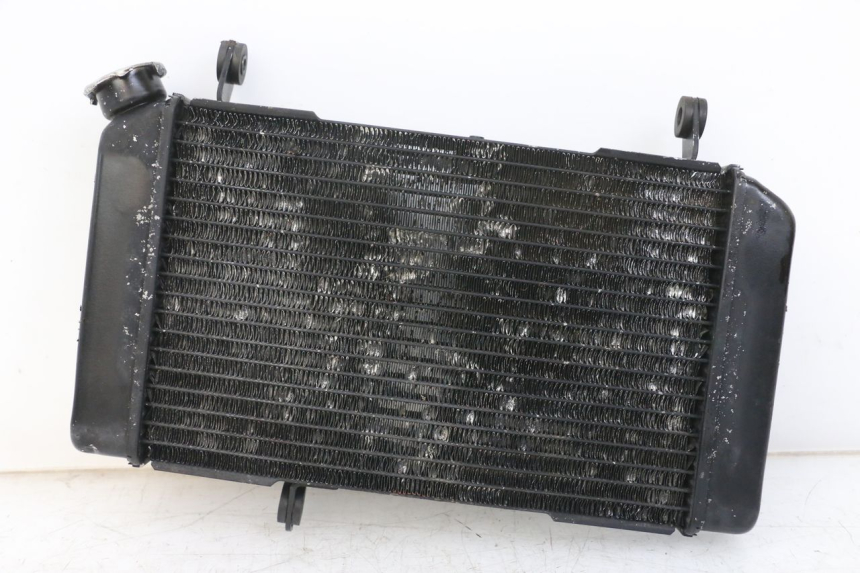 photo de RADIATEUR SUZUKI SV N 650 (1999 - 2002) - Vue principale