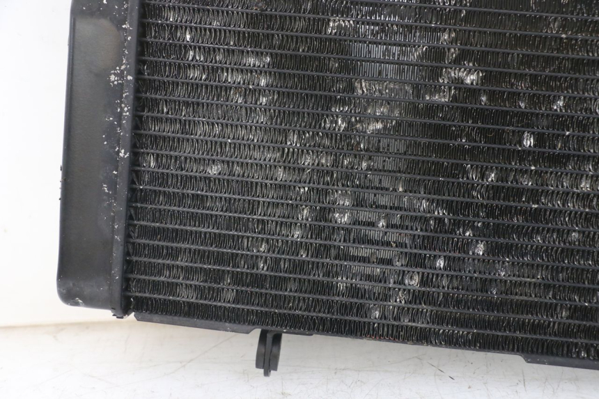 photo de RADIATEUR SUZUKI SV N 650 (1999 - 2002) - Zoom composants