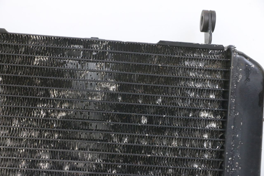 photo de RADIATEUR SUZUKI SV N 650 (1999 - 2002) - Photo complémentaire